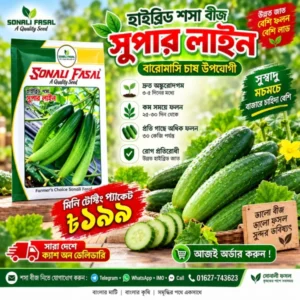 মিনি টেষ্টিং প্যাকেট সুপার লাইন শসা 199 Tk