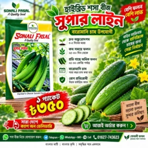 1 প্যাকেট সুপার লাইন শসা 350 Tk
