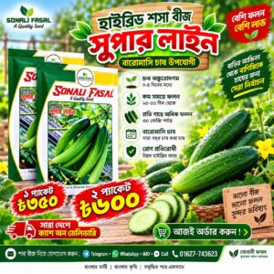 2 প্যাকেট সুপার লাইন শসা 600 Tk