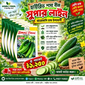 5 প্যাকেট সুপার লাইন শসা 1250 Tk