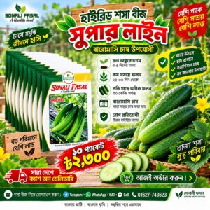 10 প্যাকেট সুপার লাইন শসা 2300 Tk